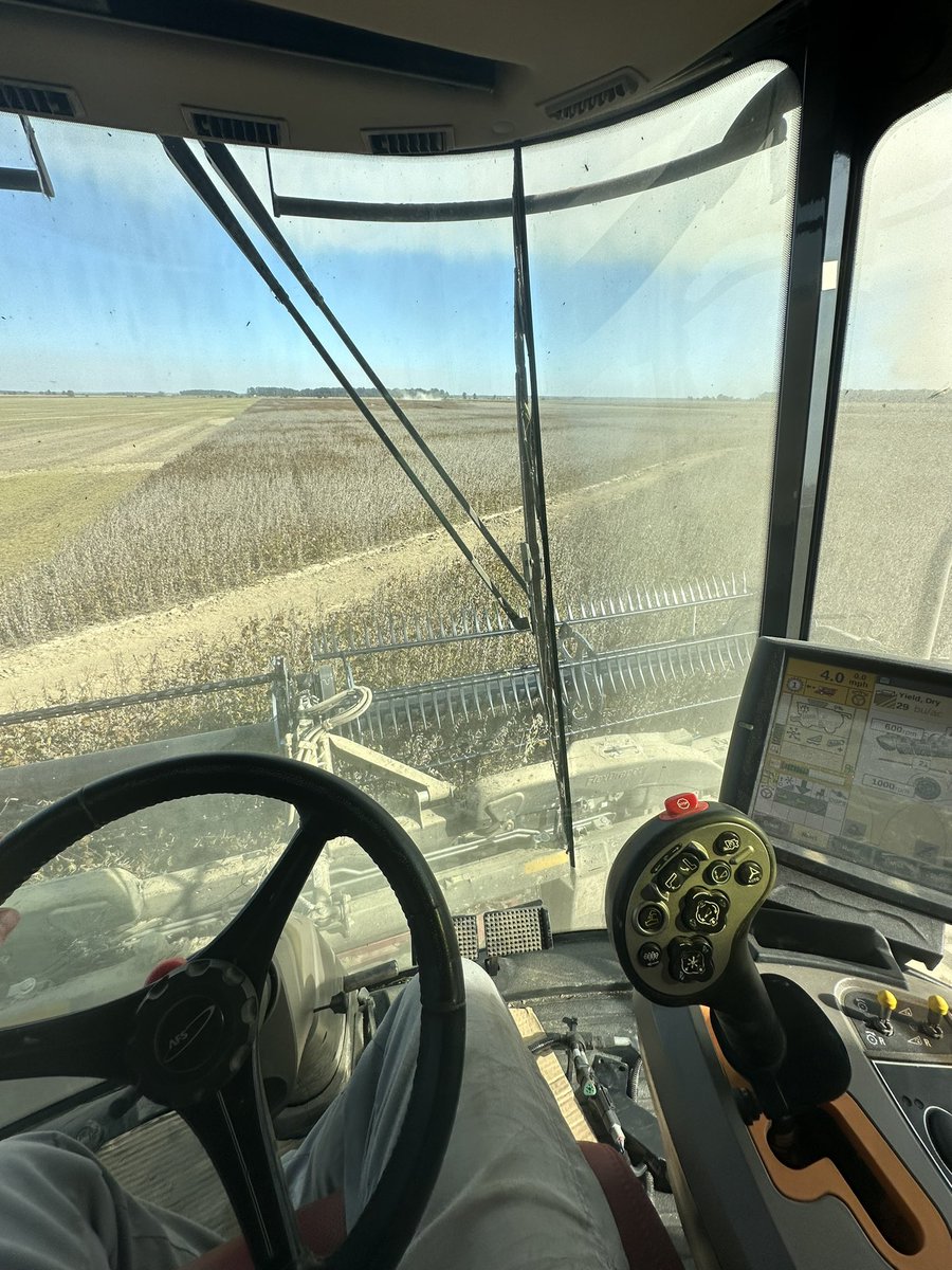 riley_guziewicz's tweet photo. Green foliage beans 🤝 red machine! https://t.co/fo7hBs7pqv