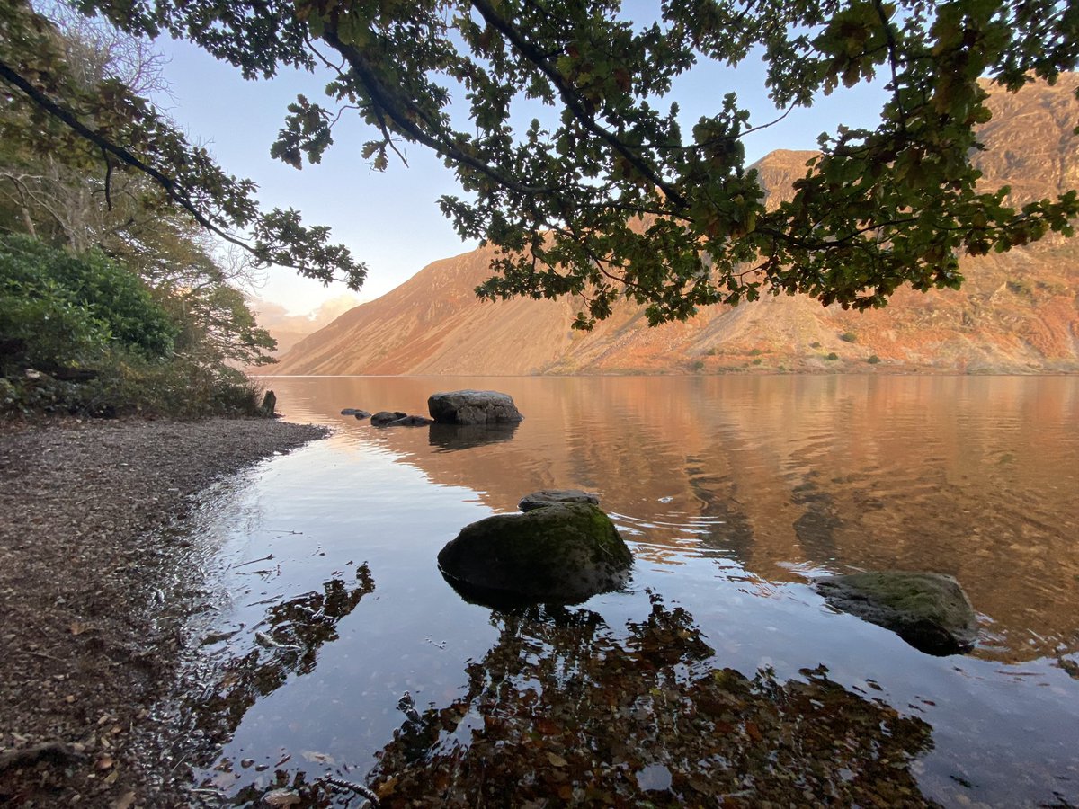 Claire Simpson tweet media