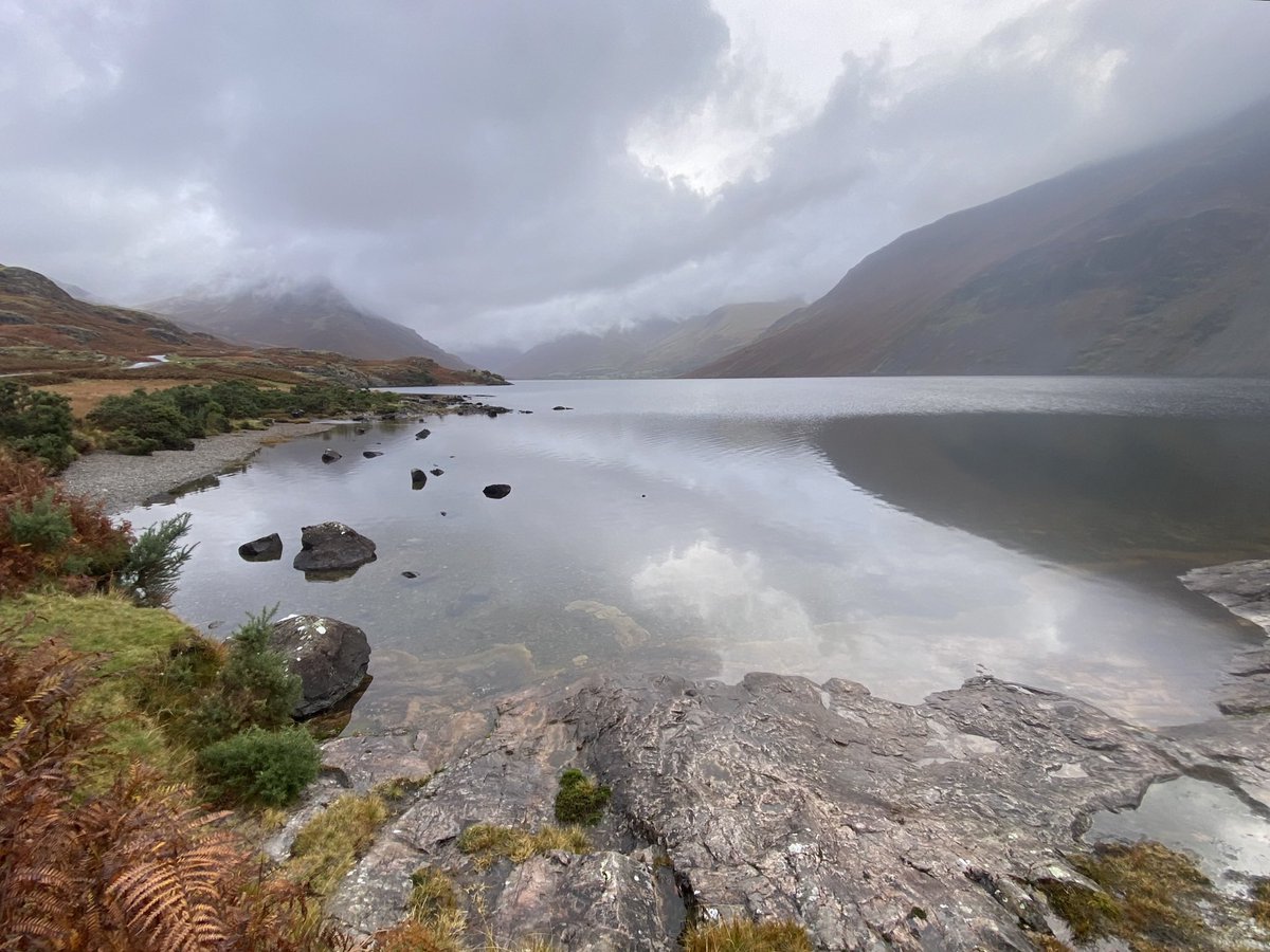 Claire Simpson tweet media