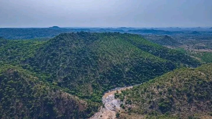 Dara George Of Jos tweet media