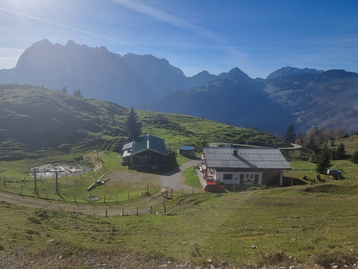 la_ontel's tweet photo. Von Griesenau über Stubenalm und untere Schnappenalm (Wilder Kaiser, Feldberg, Zahmer Kaiser) und obere S.a. / Schnappenkreuz (vor Kitzbüheler Horn) auf den Schnappen (1546m, 15:40) - Blick auf Loferer und Leoganger Steinberge. https://t.co/W0e9jkDqIn
