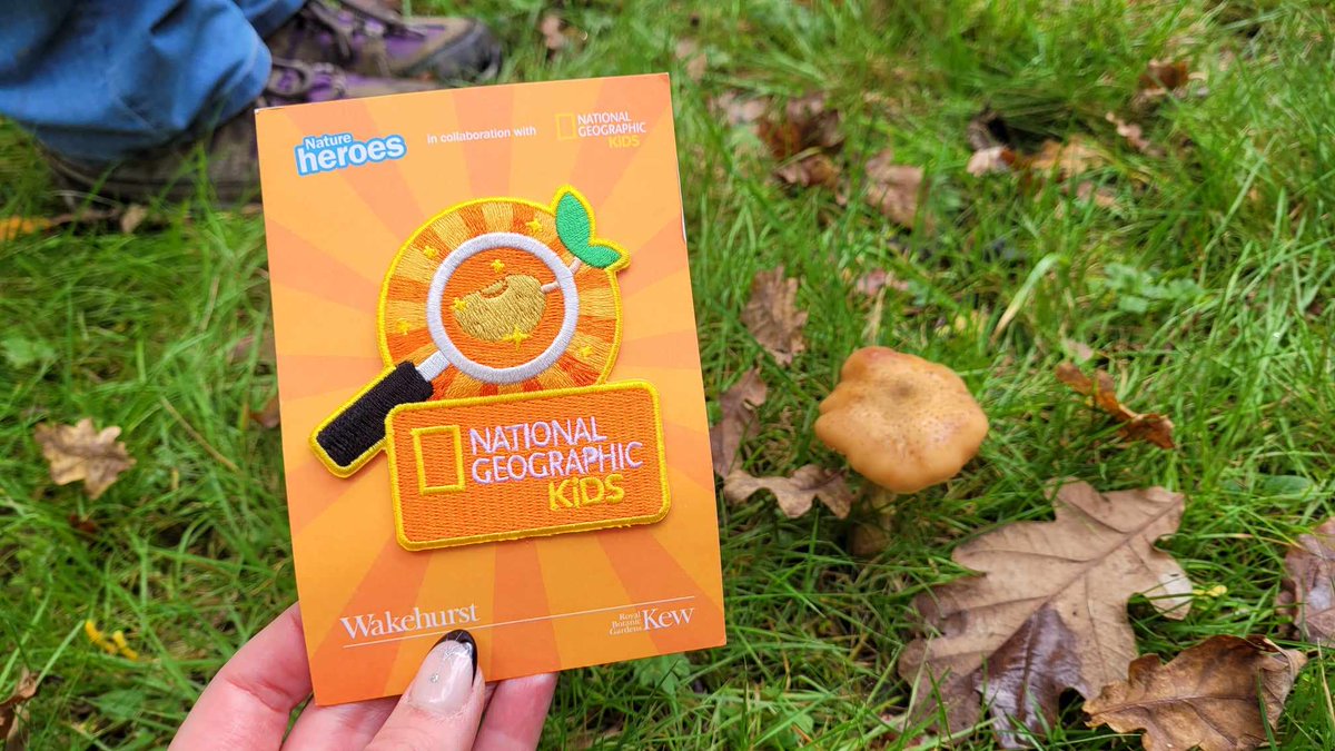 PR - Gifted Tickets¦ Over the weekend we headed down to Wakehurst, Kew's wild botanic garden in Sussex to check out their Nature Heroes: Seed Seeker trail in collaboration with National Geographic Kids.

autumnsmummyblog.com/2024/10/21/see…

#sussex #wakehurst #botanicgardens #halfterm