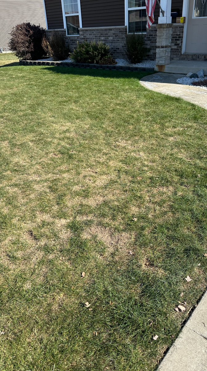 Do I get mad at the 13 year old for all the divots in the front yard or happy that he practices in the front yard non stop? 😂