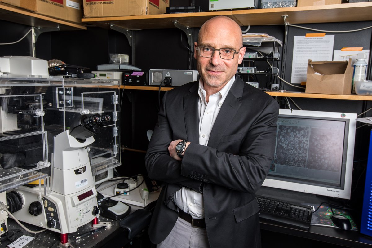 HHMI (@hhminews) on Twitter photo 🌟 Congratulations to HHMI Investigators David Mangelsdorf and David Pellman who have been elected as members of the National Academy of Medicine (<a href="/theNAMedicine/">National Academy of Medicine</a>)! More: hhmi.news/3YywtBS 🌟 Congratulations to HHMI Investigators David Mangelsdorf and David Pellman who have been elected as members of the National Academy of Medicine (<a href="/theNAMedicine/">National Academy of Medicine</a>)! More: hhmi.news/3YywtBS
