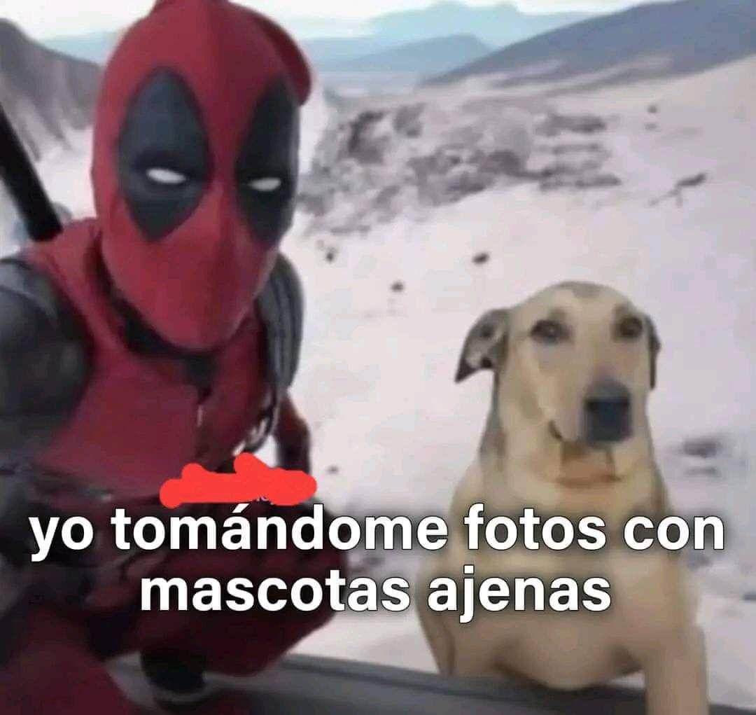 Memes Universidad Nacional tweet media
