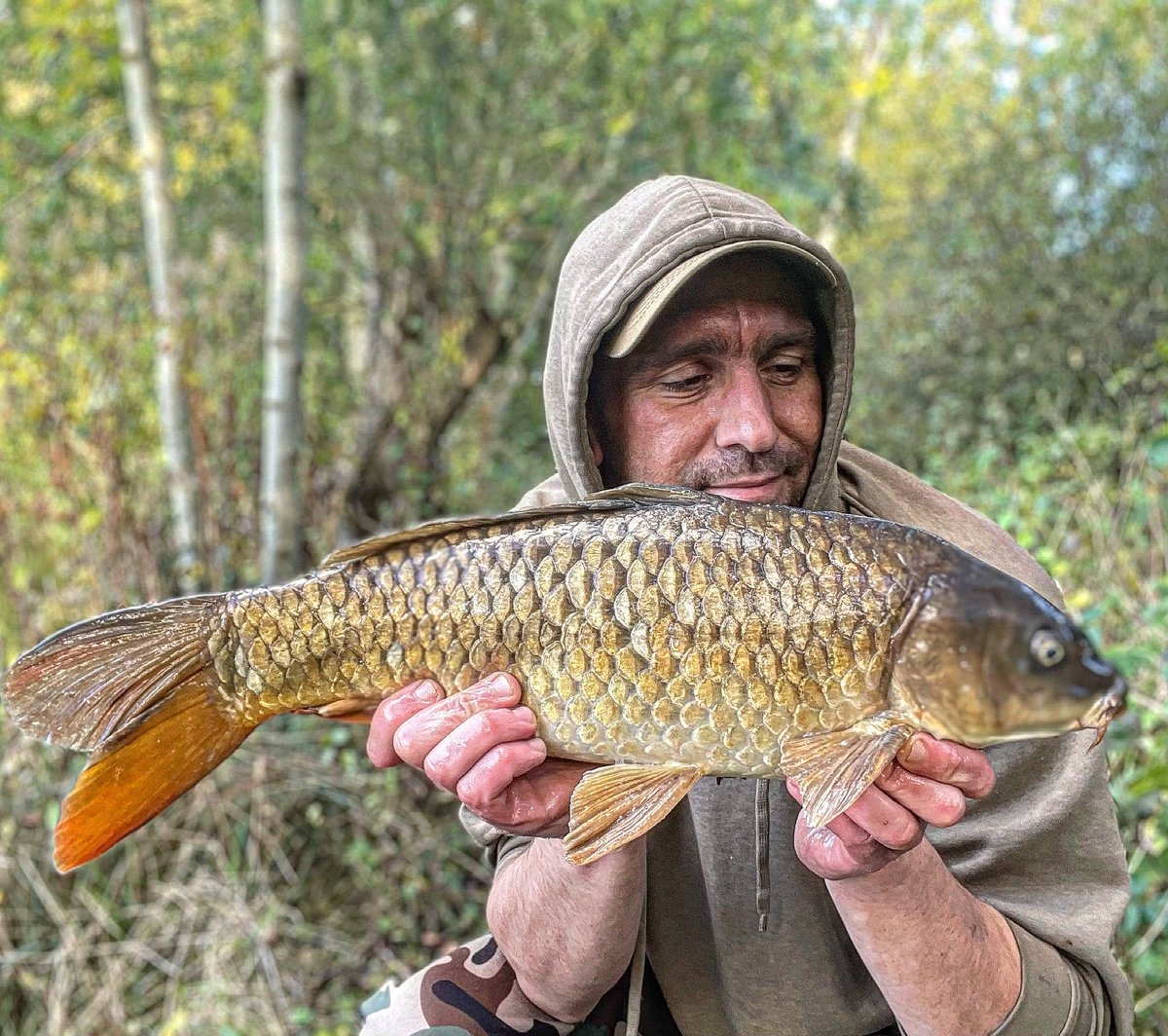 Just had the one on Thursday afternoon but watched them roll in front of me mostly out of my boundaries where I couldn’t get a hook bait to them.
Glad I caught tho it was a little minter and beat the blank!

#fishing #carp #commoncarp #carpfishing #fishingtrip #fishinglife