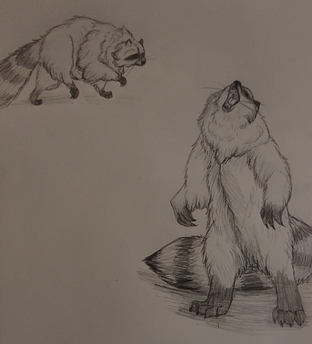Avi_joleene's tweet photo. Raccoon bear concept art https://t.co/L3alF3jWeM