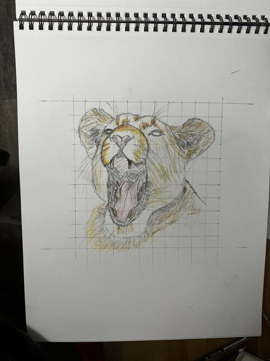 Logik185's tweet photo. @AnimalsFacing @TheFinPenguin @TryingTwoSmile @Rikbitz Not really a meme, but an animal (lioness) facing left that I drew! To be honest, itβs not finished yet, but thought I would share! #AnimalsAreReal #AFL https://t.co/NC1ho23P9N