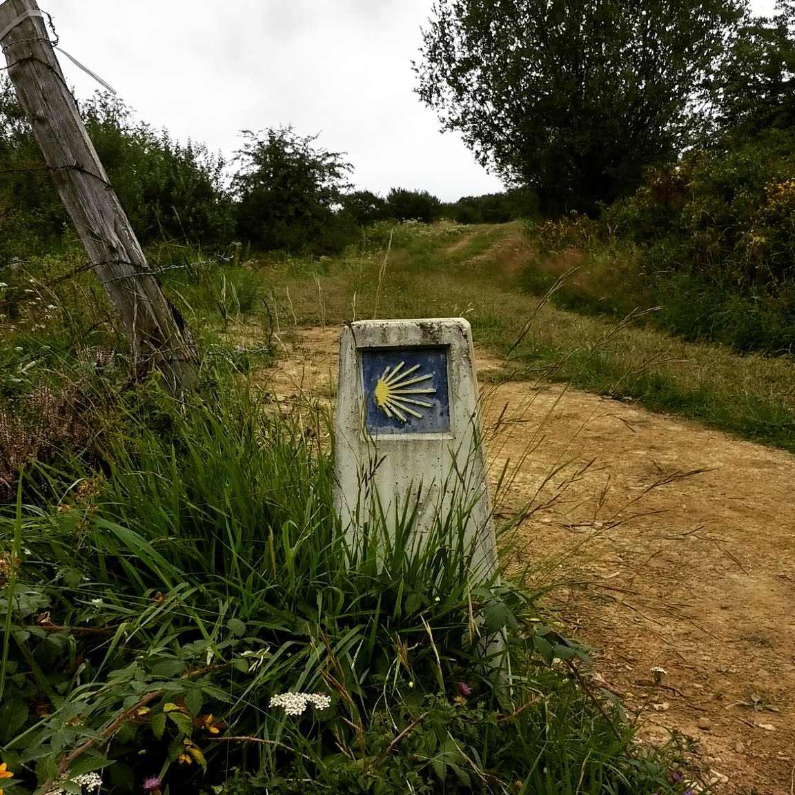 graemeultra's tweet photo. This week's #caminotuesday theme is showing the way...⬆️⬅️↪️↩️↙️↘️↗️↖️
#CaminodeSantiago
#viapodiensis https://t.co/5jJldS9mqh