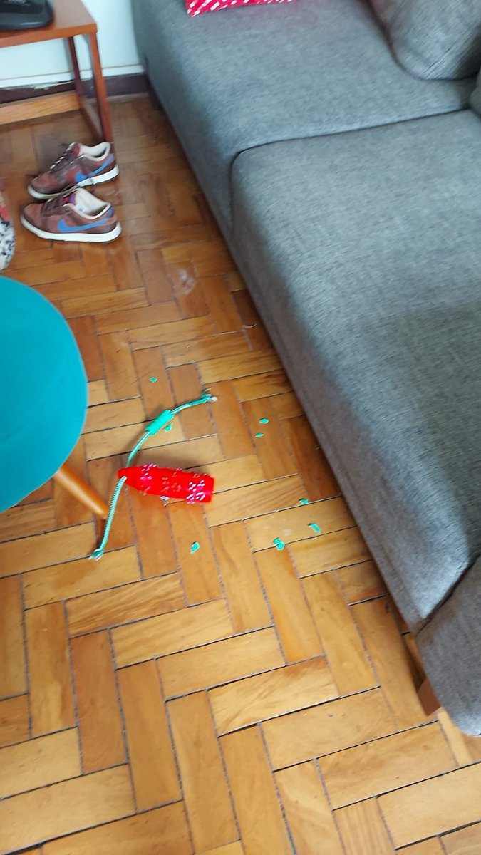 MelatiIgor's tweet photo. Comprei o brinquedo sábado e o ruffao destruiu tudo mané https://t.co/Z9vHsBMRVw