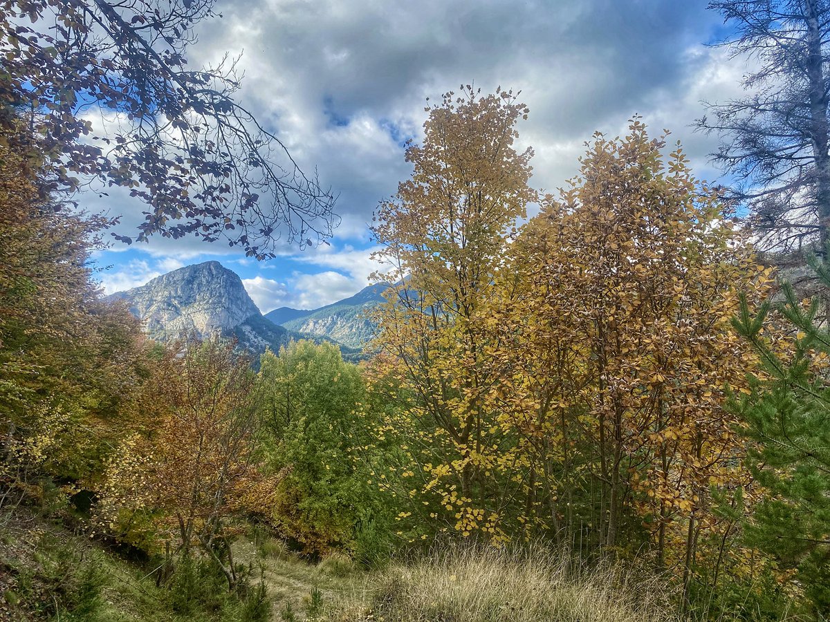 cbuisan71's tweet photo. Otoño 2024 #plan #valledechistau https://t.co/81ddBw5wMp