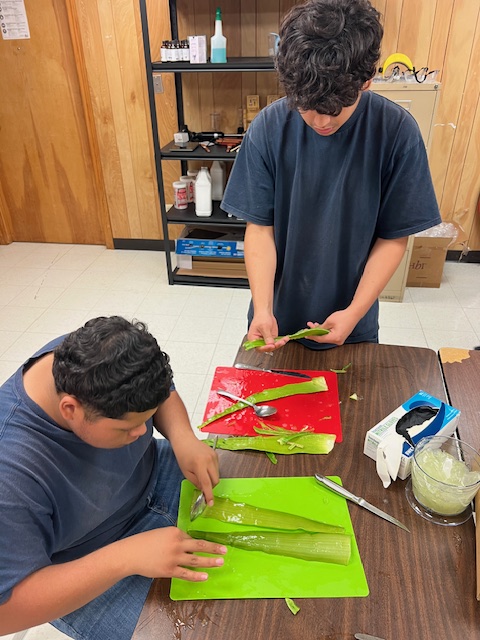 Students <a href="/IandGCenter/">I&G Center</a> were involved in every facet of #aloevera soap bar creation today! Our Aloe vera bars are very popular and we are working hard to keep up with demand. <a href="/gutiexfer/">Fernando X Gutierrez</a> <a href="/RichardTam93019/">RICHARD TAMEZ</a> <a href="/McAllenISD/">McAllen ISD</a> <a href="/CityofMcAllen/">City of McAllen, TX</a> @Sprouts #soapbar #studentmade #HealthySkin #organic