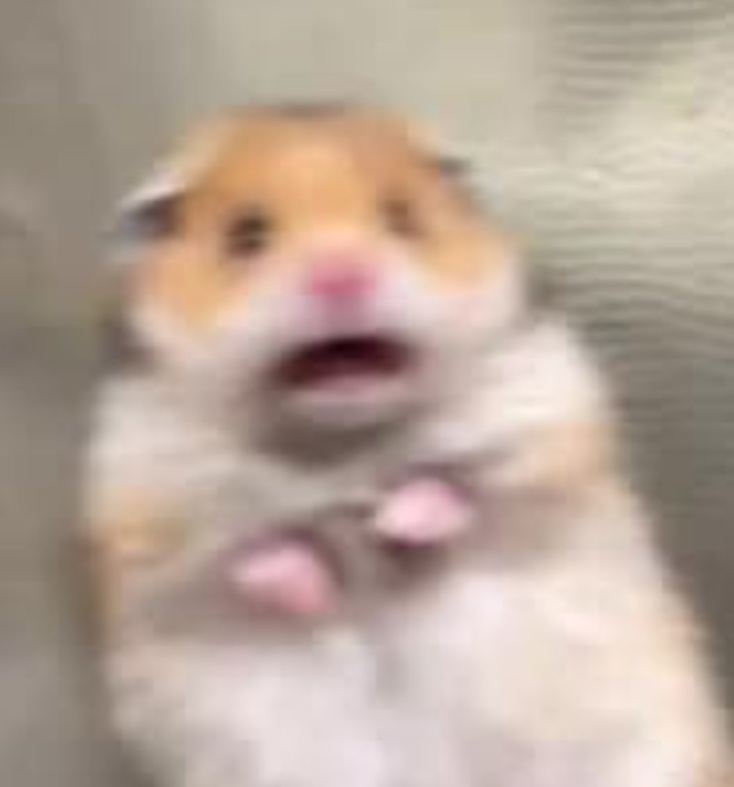racoonwannabe's tweet photo. giving same vibes https://t.co/KoqCbfSK2S