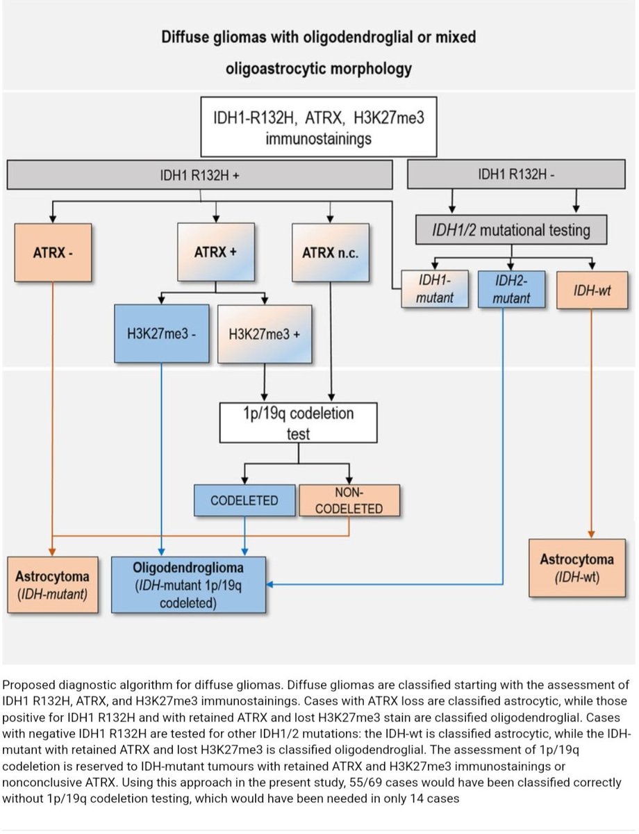 Diagnostic Algorithm for Diffuse Gliomas 🔬
link.springer.com/article/10.100…