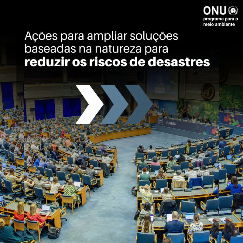 UNEP_pt's tweet photo. Todos têm um papel a desempenhar na redução dos riscos de desastres e no enfrentamento da crise climática.

Curso gratuito online sobre soluções baseadas na natureza para resiliência a desastres e climática (em inglês): https://t.co/OXad6NlTmg @‌PEDRRnetwork