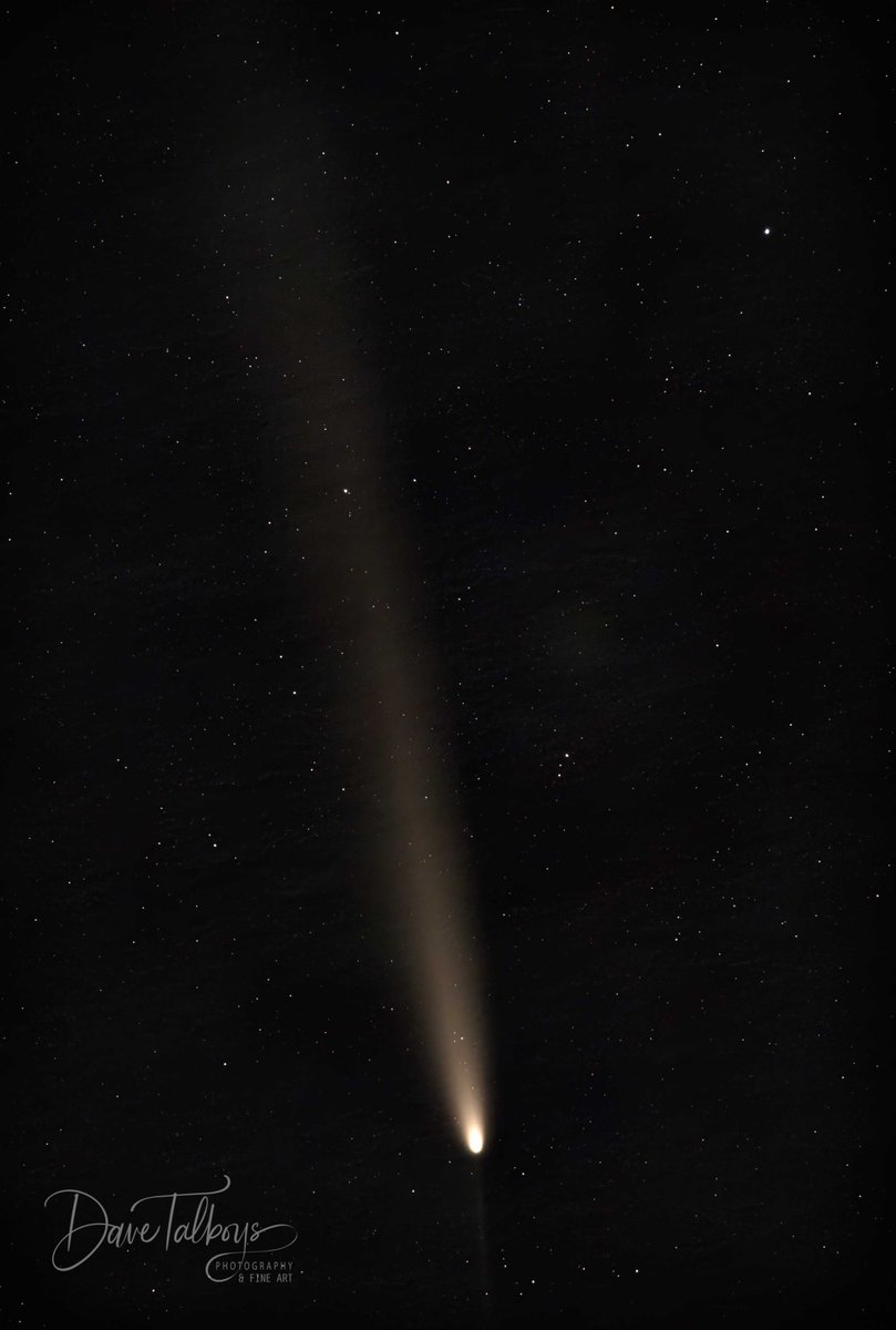 Schlitz's tweet photo. Last Wednesday the Super Hunter's Moon arrived. I already have many Super/Full/Eclipsed Moon pics so I decided to try Comet C/2023 A3. We have so much light pollution that I couldn't see it with my eyes, but the camera did a fine job.
#CometC2023A3  #SanAntonio  @ChrisSuchanWOAI https://t.co/OhZormTWbP