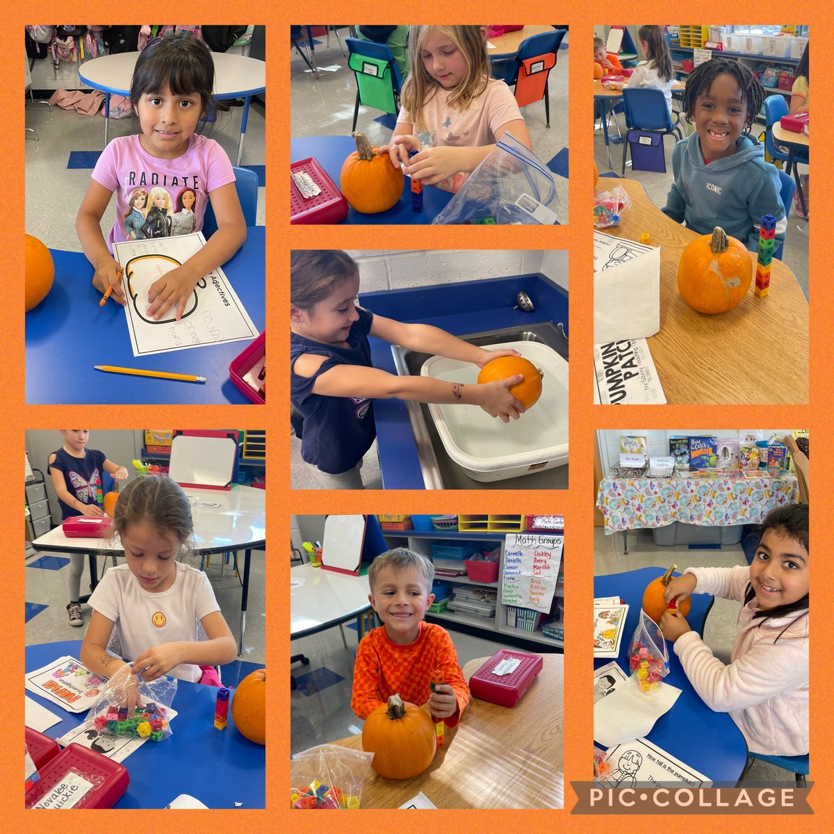 Pumpkin Investigations! 🎃⁦<a href="/LillianDriveSch/">Lillian Drive School</a>⁩