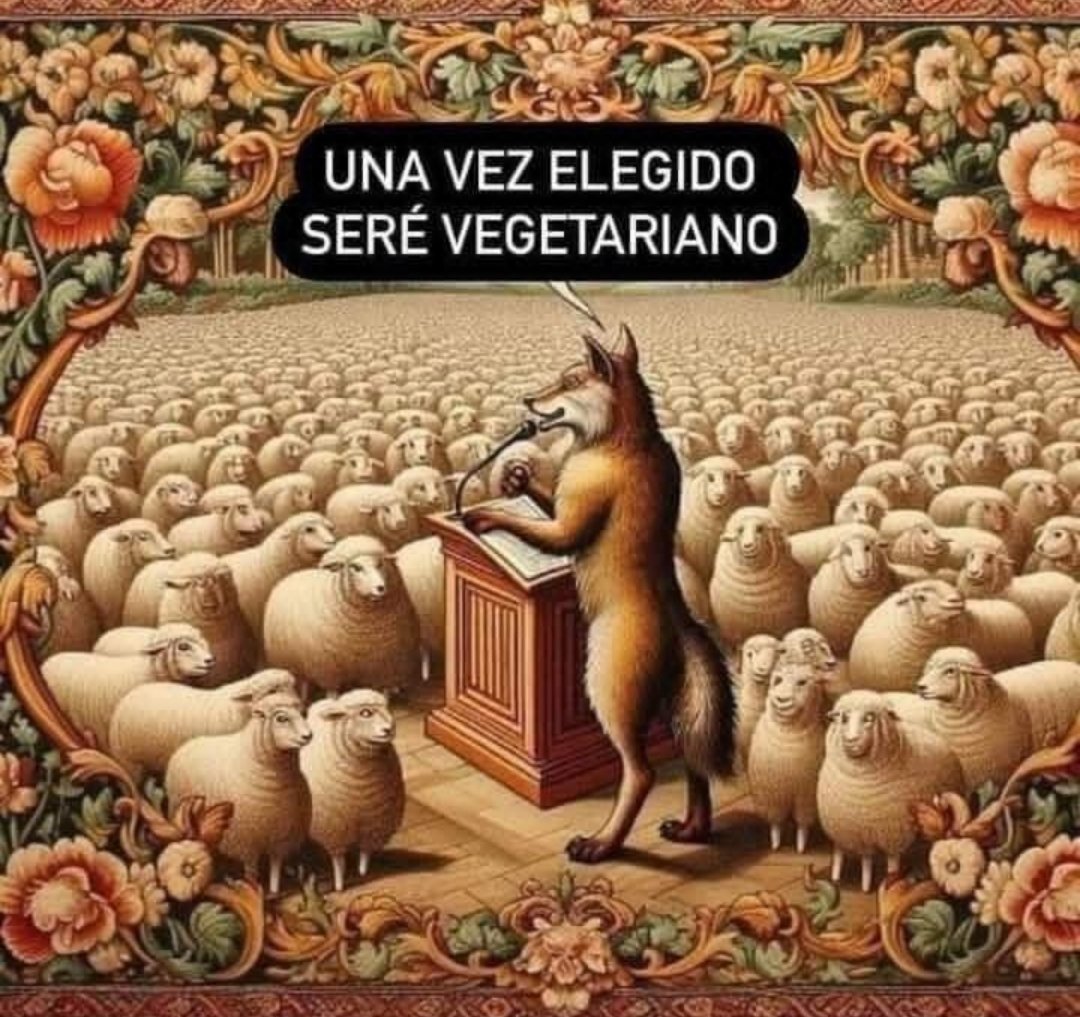 JCFelipo's tweet photo. "¡Nada chicos, no os preocupéis que ahora toca animar y apoyar a los chavales para salir de la situación! ¡OS NECESITAMOS! Con vuestro apoyo sacaremos esto adelante. Sin vosotros no podremos. ¡Unidos animando podremos! #JuntsPodem #ADNVCF ¡Y en breve al Nou Mestalla! https://t.co/pdgPegfvAT