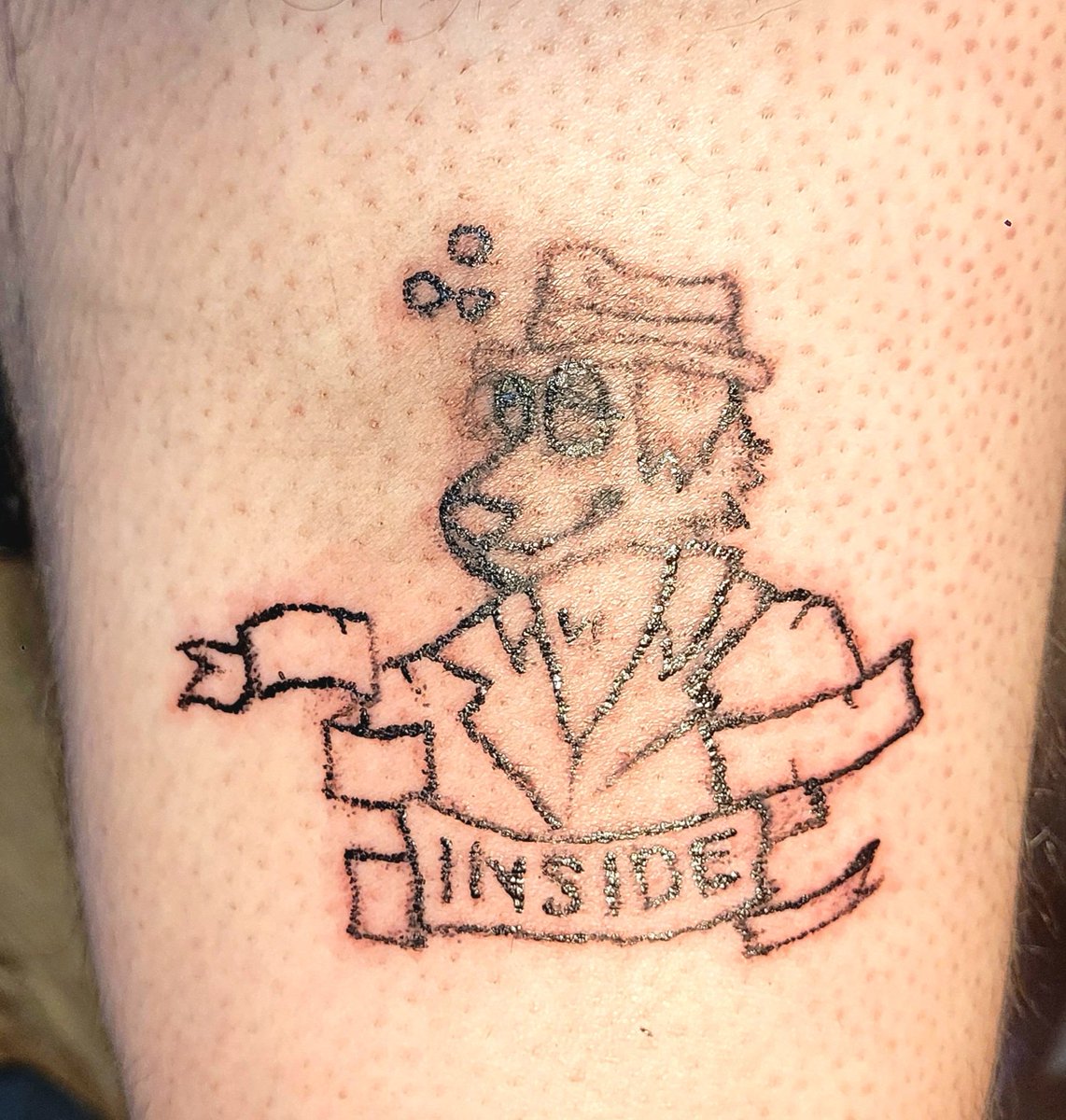 some pig tweet media