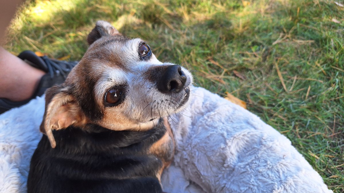 Kate & David tweet media