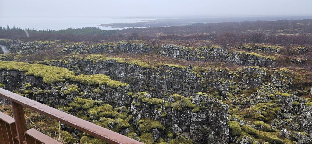 Solihull School Trips tweet media