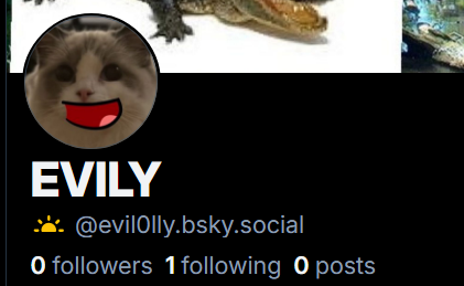 EVIL0LLY's tweet photo. anyways go ahead and folow me here ig if u want https://t.co/VBpVNNAMJ0