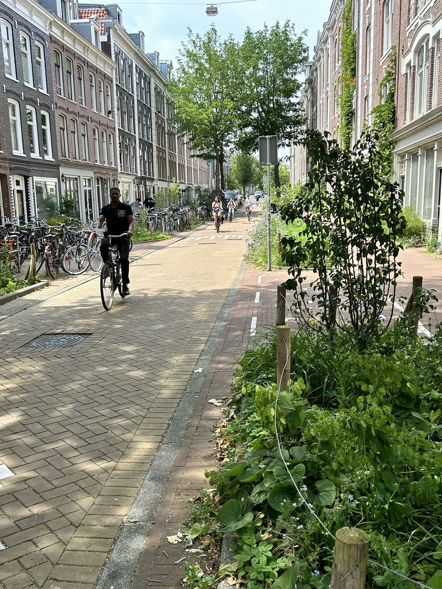 Billy Fields tweet media