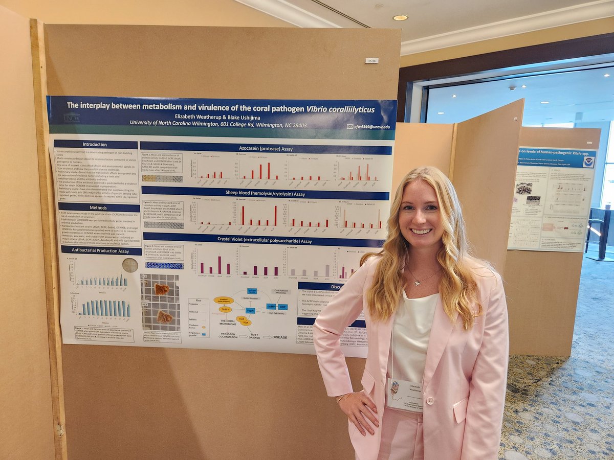 Ph.D. student Liz Weatherup is presenting her research at the international #Vibrio2024 conference today! She has a poster on the role of metabolism &amp; novel genetic regulators in the pathogenesis of the coral pathogen Vibrio coralliilyticus.