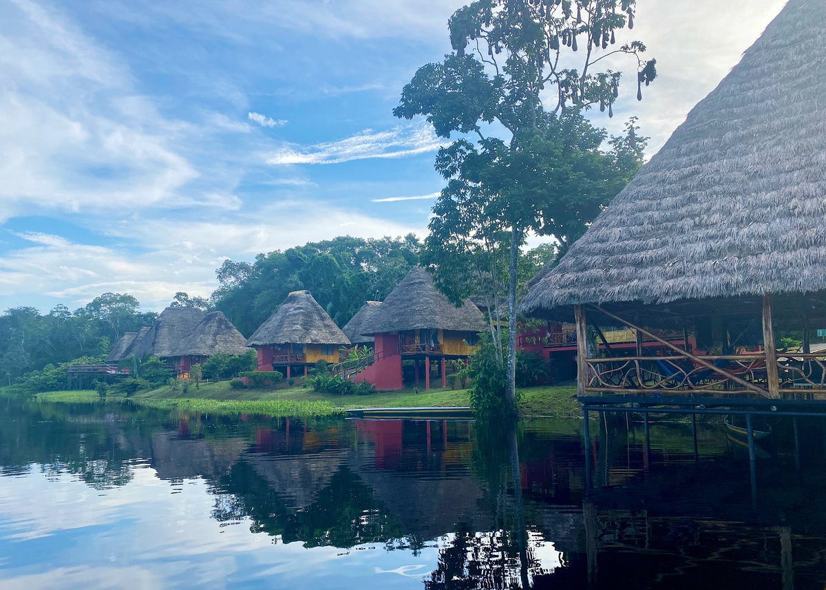OriginalEcuador's tweet photo. Nestled deep in Ecuador’s Yasuni National Park, the Napo Wildlife Center offers unmatched wildlife encounters in a breathtaking setting 🐒

#NapoWildilfeCenter #YasuniNationalPark https://t.co/y0hRVx9qOO