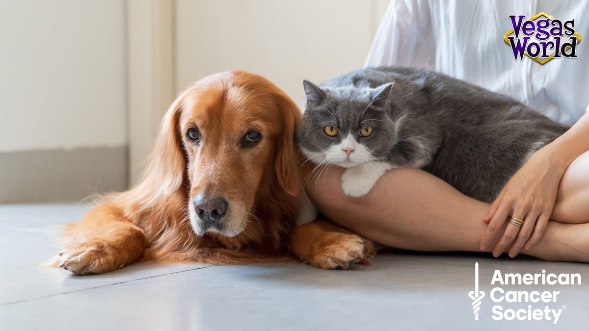 During October, FlowPlay is supporting the <a href="/AmericanCancer/">American Cancer Society</a> through an in-game fundraiser. We're supporting the ACS PAWS program, which provides grants to support hospital facility dog programs in pediatric oncology settings. #ACSPAWS