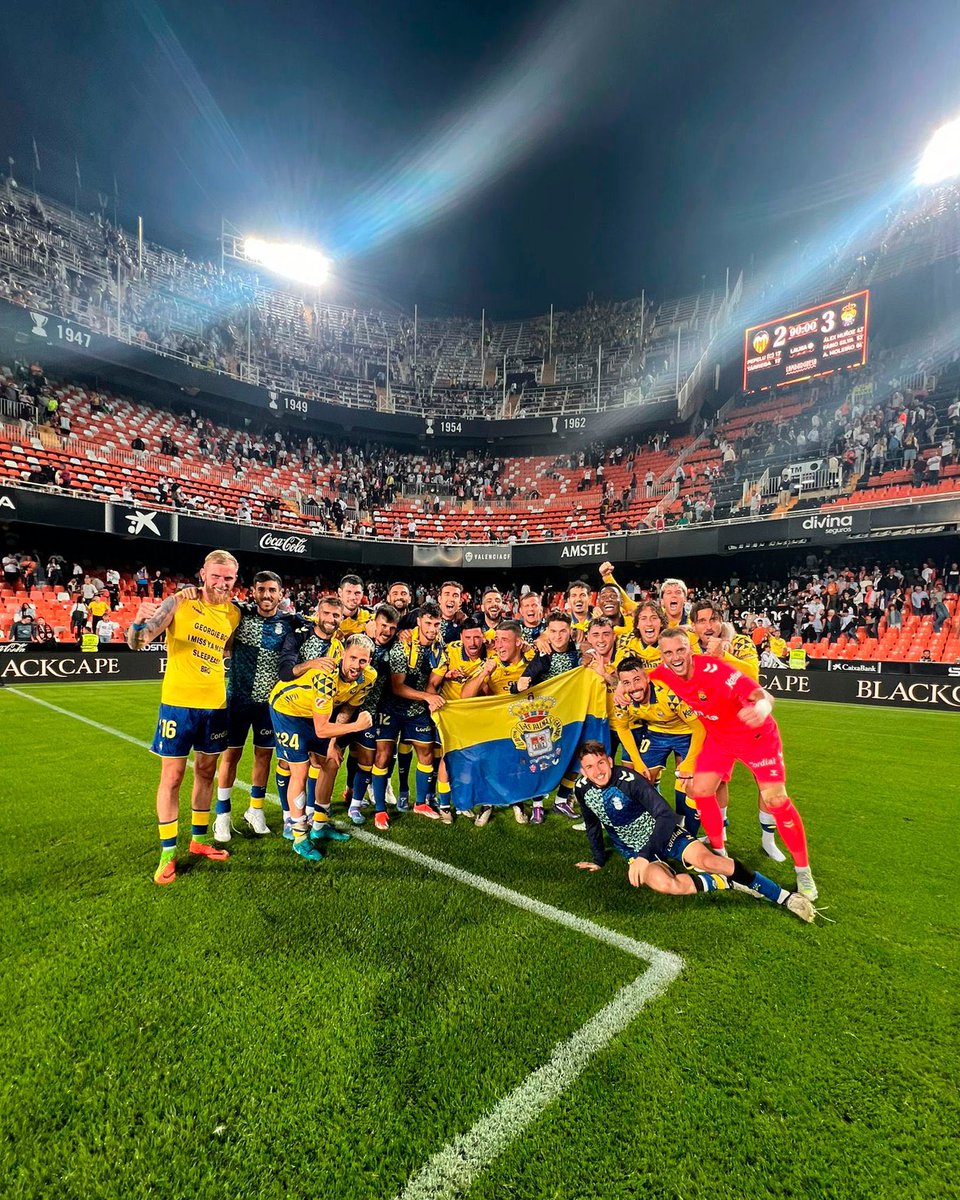 Ferry Hoes tweet media