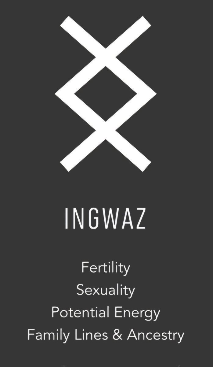 Elizabeth Lang tweet media