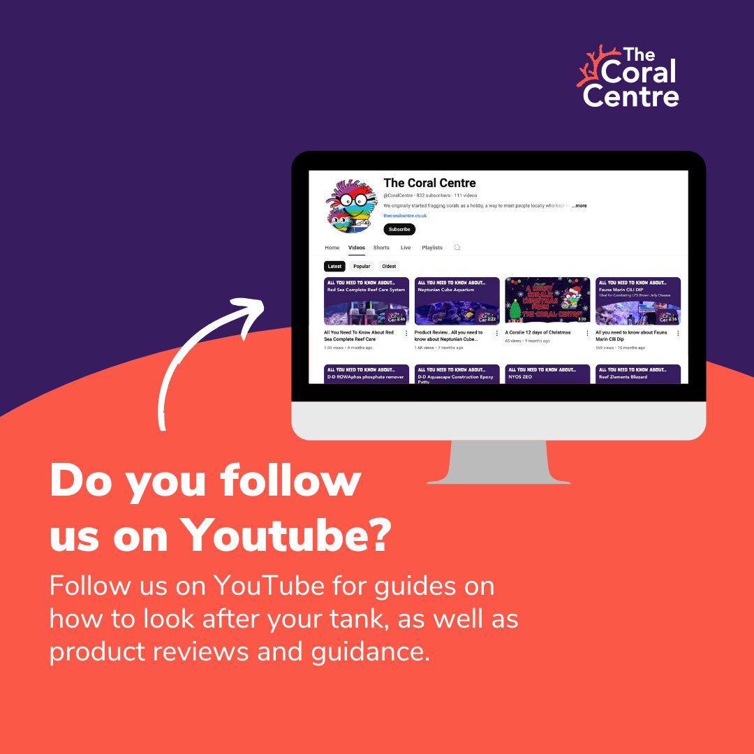 Want expert advice on looking after your tank? 🪸

Head over to our YouTube channel for guides, product reviews, and tips on everything from coral care to the latest equipment. 

Find us here ➡️ youtube.com/@CoralCentre
