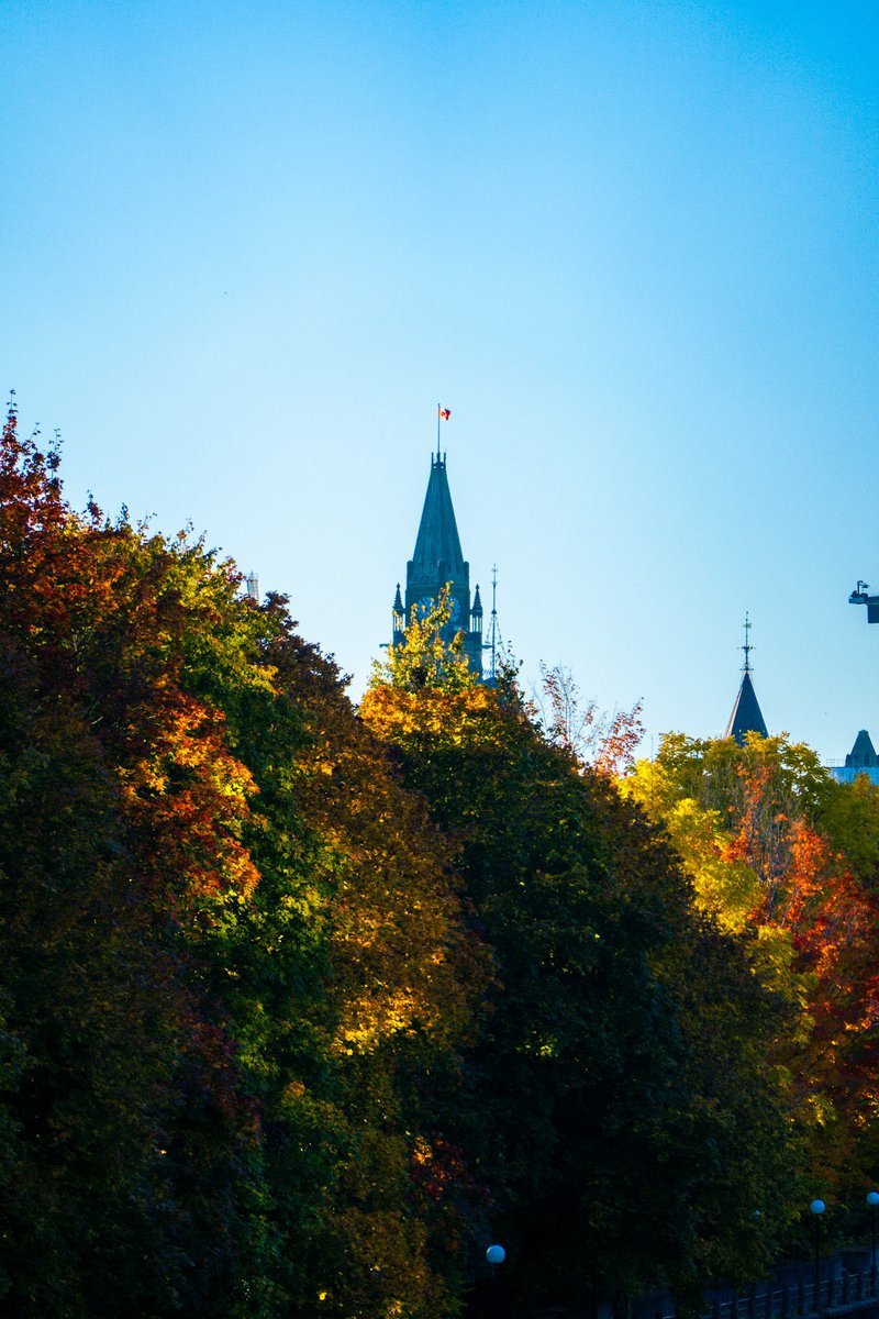 Warm fall Monday #ottawa #autumn #fallphotography <a href="/apt613/">Apartment613</a> ⁦<a href="/Ottawa_Tourism/">Ottawa Tourism</a>⁩
