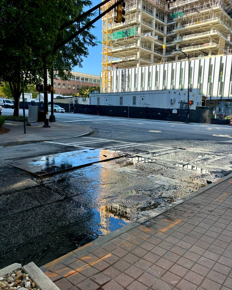 Mayor of Buckhead (In Exile) tweet media