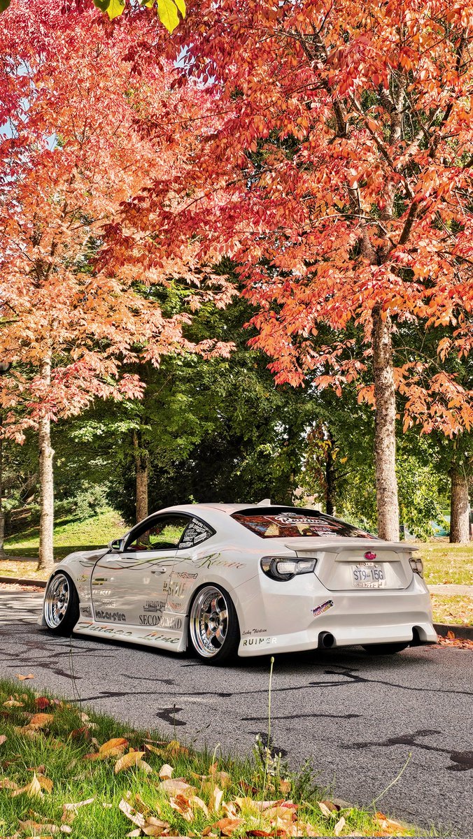 i love the orange leaves season