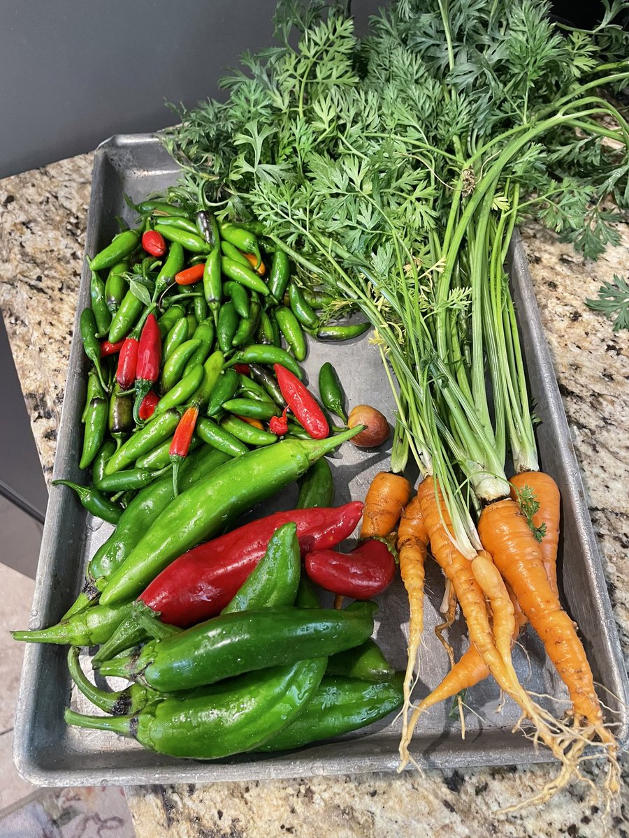 Coach Sergio Ramirez tweet media