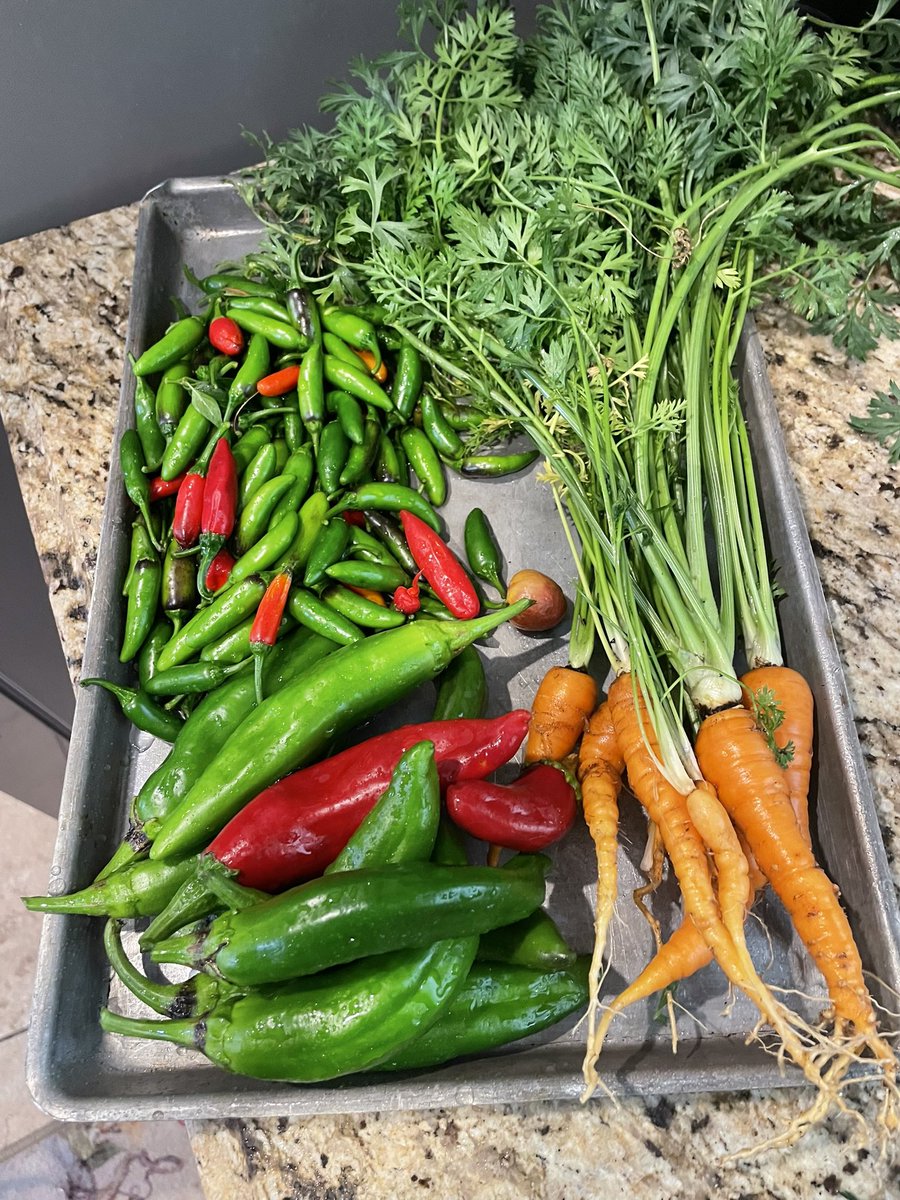 Coach Sergio Ramirez tweet media