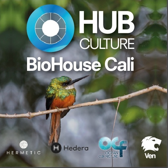 The <a href="/hubculture/">Hub Culture</a> BioHouse Cali is open 20-25 October for the COP16 Biodiversity Summit - stop by