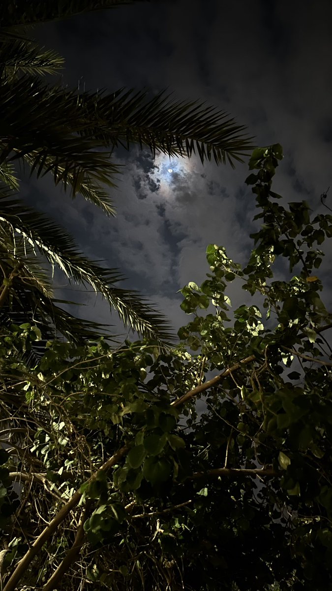 _gh22's tweet photo. عندما تعيش كل لحظة من حياتك بحماسة كما لو كانت الأخيرة ، فإنك تجد جمالاً في كل شيء . https://t.co/dfuz85UTxO