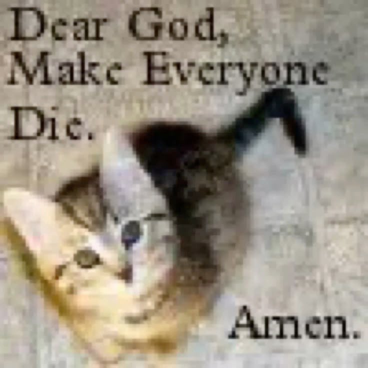 xXMu3icl0v3rXx's tweet photo. https://t.co/zDgWCXMEH6
