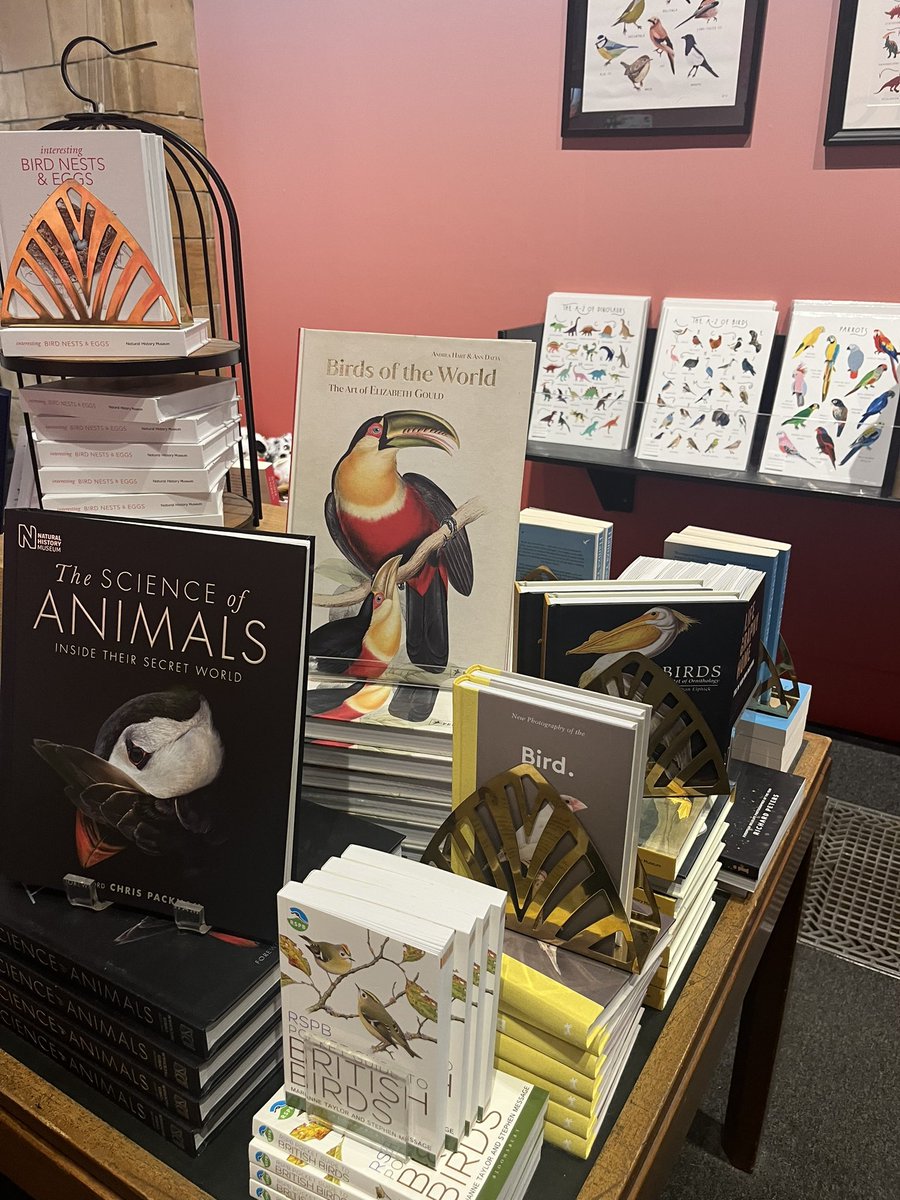 Andrea Hart (@drewyhart) on Twitter photo Nice to spot mine and Ann’s book on Elizabeth Gould in some lovely company <a href="/NHM_London/">Natural History Museum</a> ‘s shop as you come out of the #Birds : brilliant and bizarre #exhibition nhm.ac.uk/visit/exhibiti… #ornithologalArt #womenartists birbs Nice to spot mine and Ann’s book on Elizabeth Gould in some lovely company <a href="/NHM_London/">Natural History Museum</a> ‘s shop as you come out of the #Birds : brilliant and bizarre #exhibition nhm.ac.uk/visit/exhibiti… #ornithologalArt #womenartists birbs