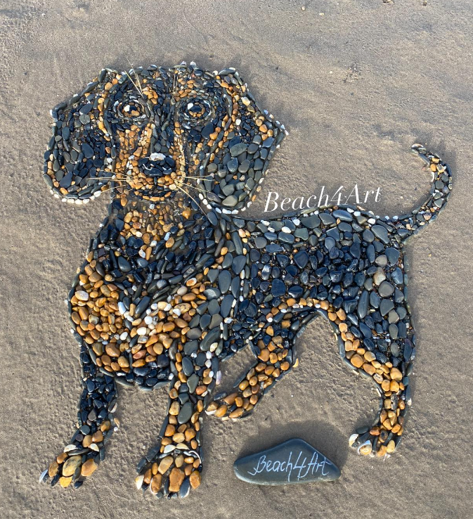 Some more AMAZING work from Beach4Art , Dachshund
Made on Sandymere beach today 21/10/24