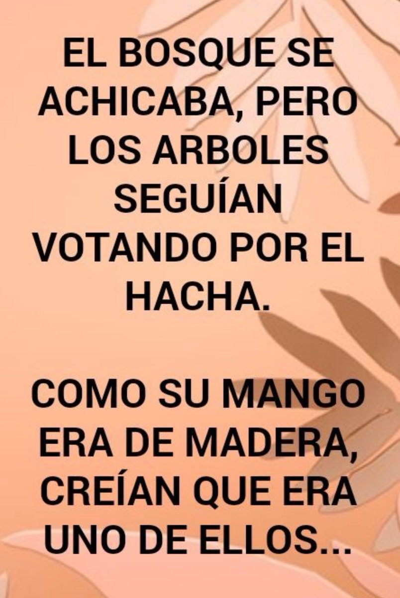 acifredo's tweet photo. https://t.co/dhFO4oLu1S