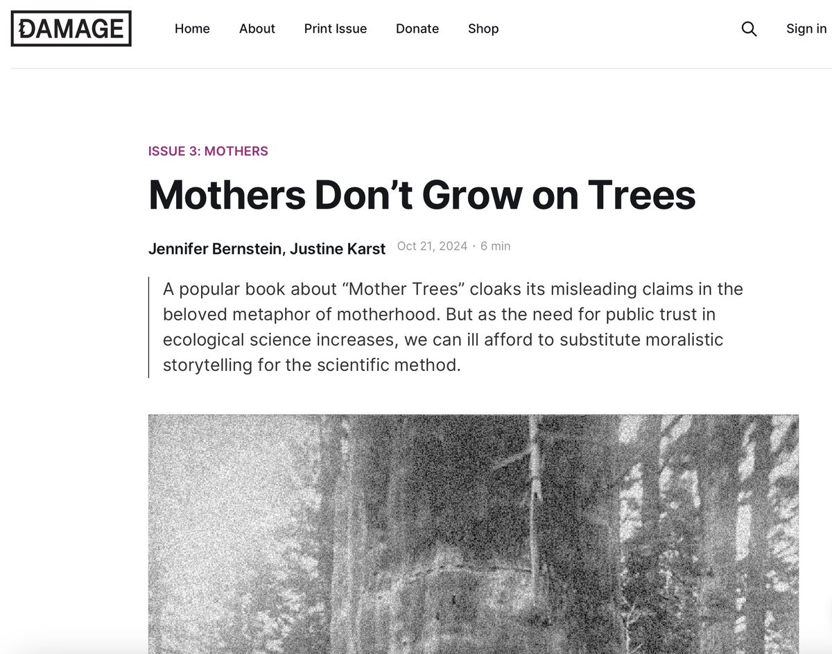 Dr Jennifer Bernstein tweet media