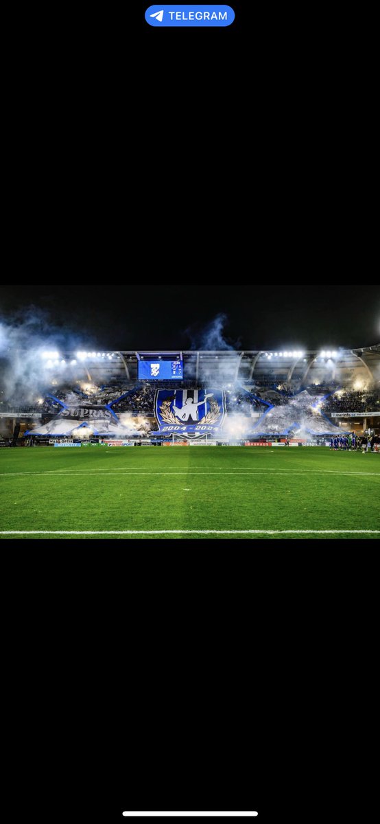 Hatt Berg tweet media