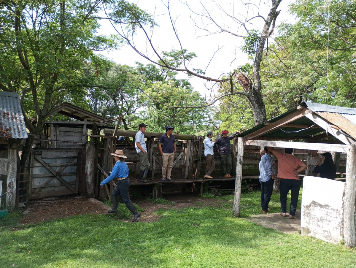 INC_Uruguay's tweet photo. 🧑🏻‍🌾👩🏻‍🌾 El INC realizó un taller en la Colonia Ros de Oger, Paysandú, como parte de la iniciativa “Oportunidades para Jóvenes”.

👥 Más de 20 jóvenes participaron junto a referentes del INJU y MIDES.

📲 Más info: https://t.co/GJAzGS16Ls

 #INC #Oportunidades #Paysandú https://t.co/8Gd9bTfv93