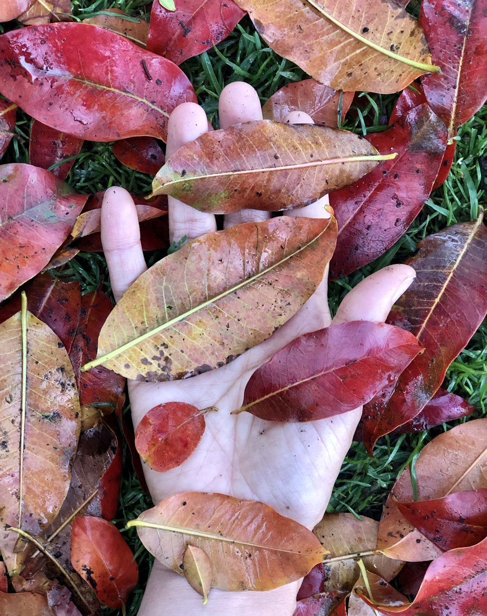 Amar, solo amar 🦋