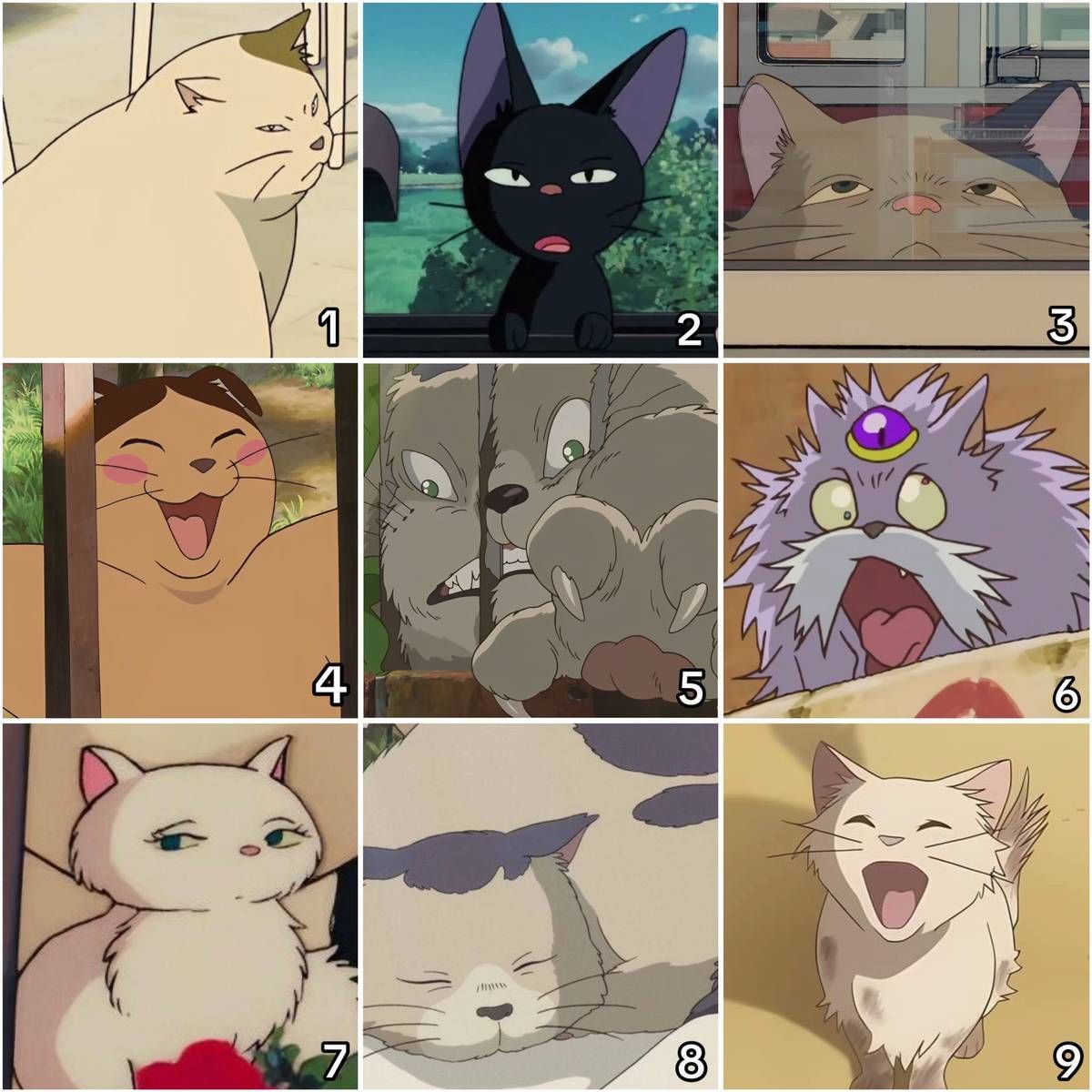 Anime Aesthetics tweet media