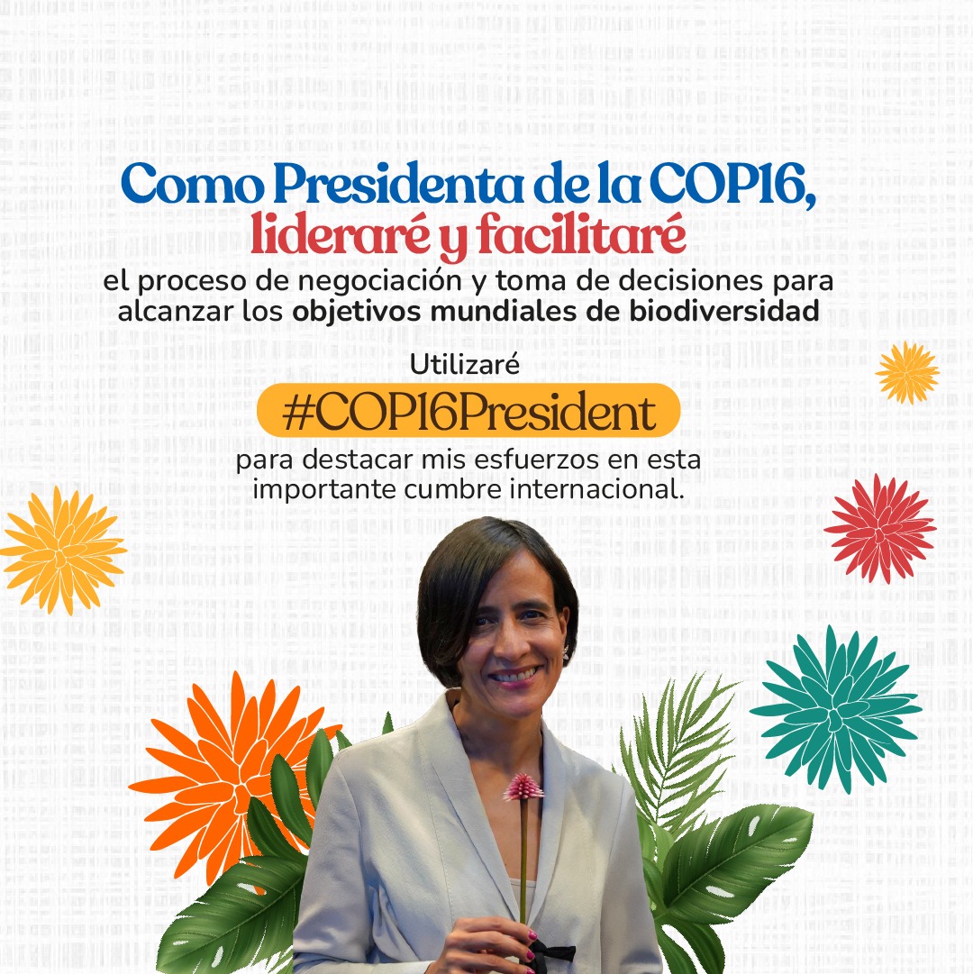 susanamuhamad's tweet photo. Tengo el honor de ser la Ministra de Ambiente y Desarrollo Sostenible de Colombia 🇨🇴 y, desde hoy, también soy la Presidenta de la COP16 de Biodiversidad. Esto significa que verán publicaciones con dos enfoques diferentes: unas sobre las políticas ambientales de nuestro país que irán con el numeral #MinAmbienteCol y otras enfocadas en la agenda global de biodiversidad que lideraremos desde la COP con el numeral #COP16President